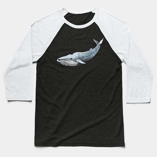 blue whale (Balaenoptera musculus) Baseball T-Shirt by RosArt100